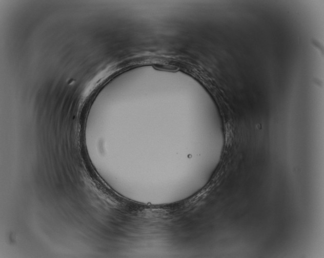 X0000100490150200807031924