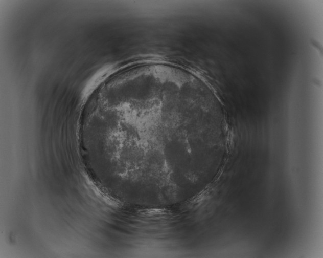 X0000100490151200807031924