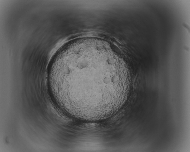 X0000100490152200807031924