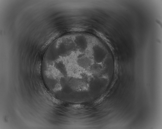 X0000100490153200807031924