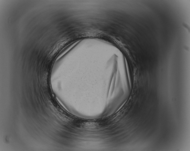 X0000100490154200807031924