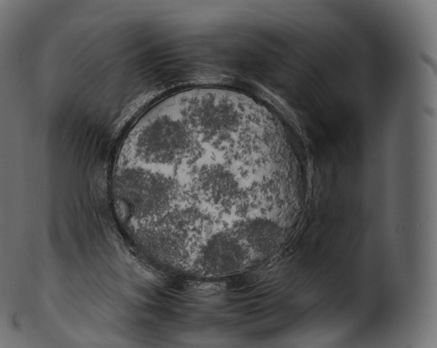 X0000100490155200807031924