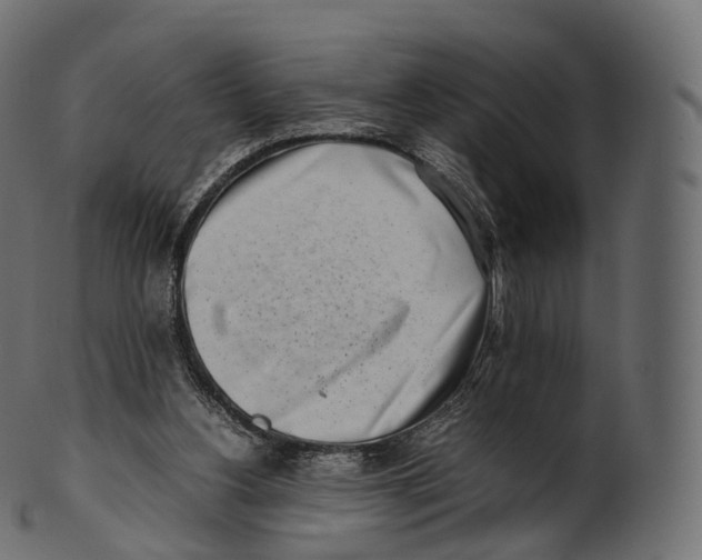 X0000100490156200807031924