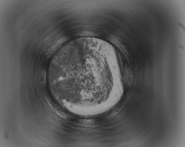 X0000100490157200807031924