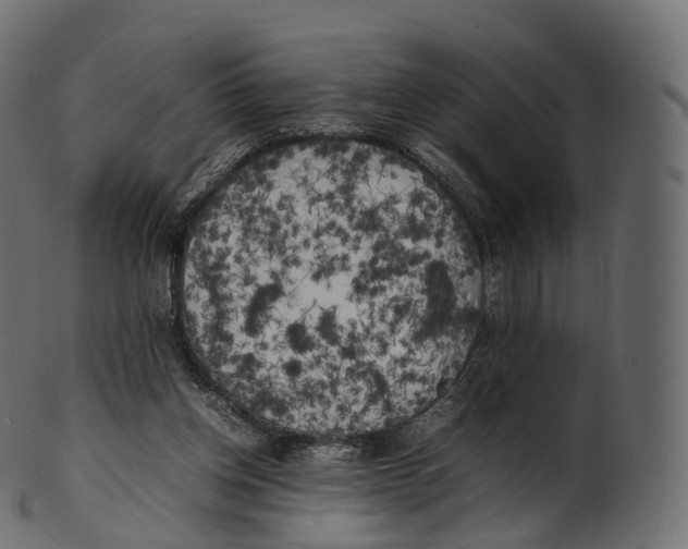 X0000100490158200807031924