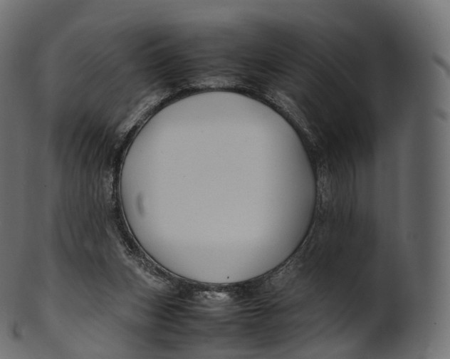 X0000100490159200807031924