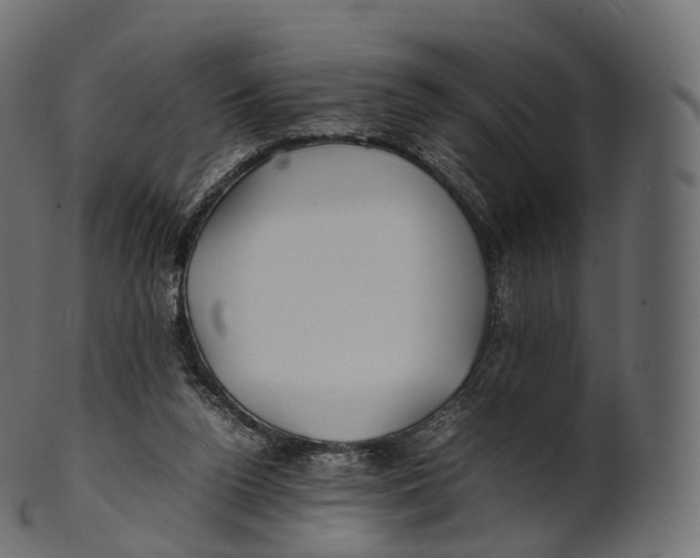 X0000100490160200807031924