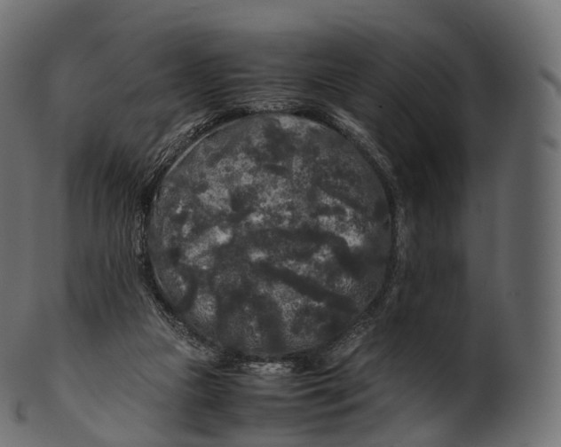 X0000100490161200807031925