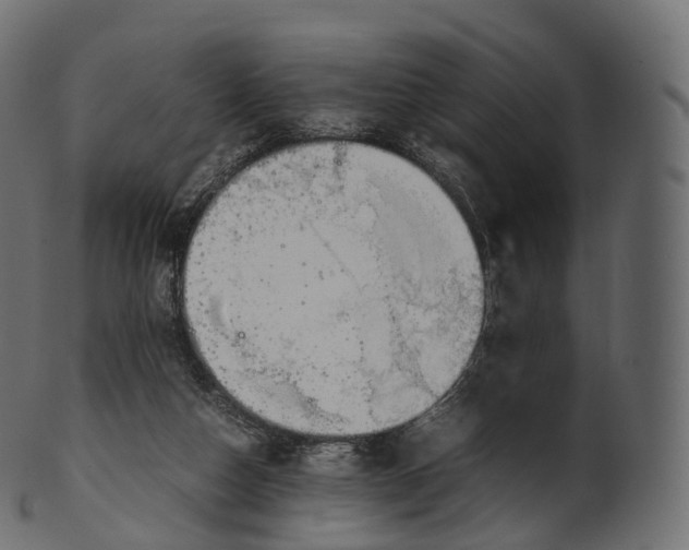 X0000100490162200807031925