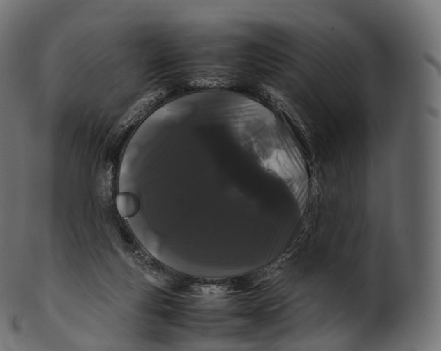 X0000100490163200807031925