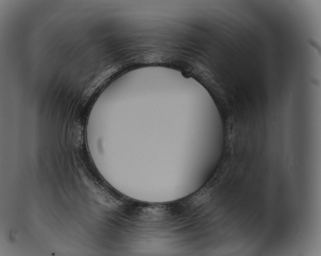 X0000100490164200807031925