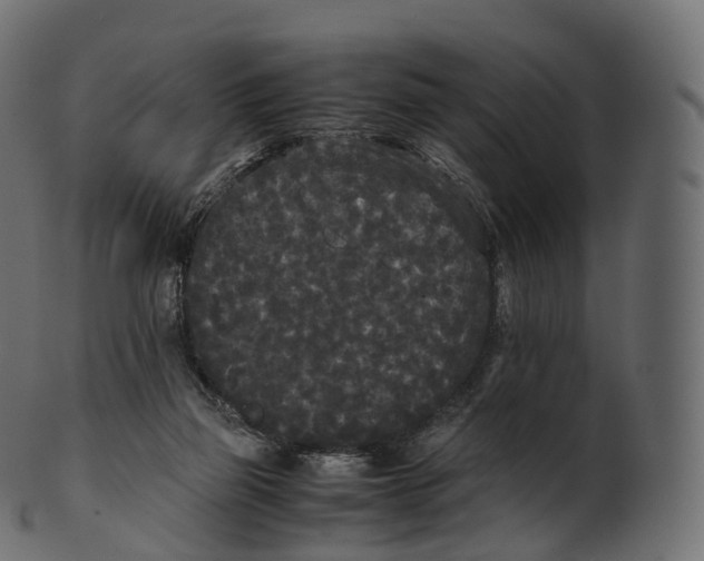 X0000100490165200807031925