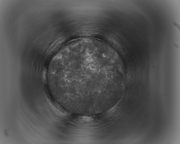 X0000100490166200807031925