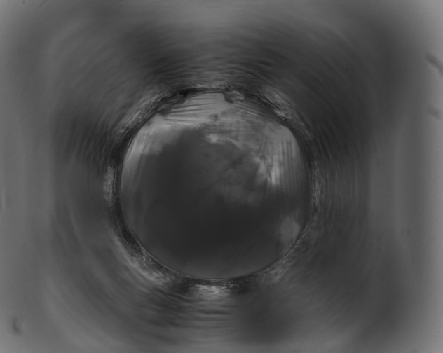 X0000100490167200807031925