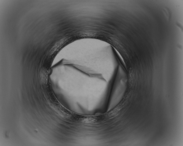 X0000100490168200807031925