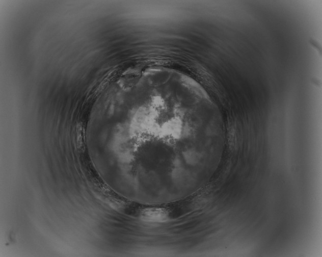 X0000100490169200807031925