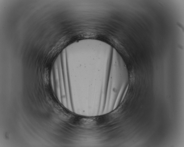 X0000100490170200807031925