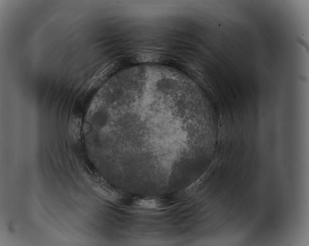 X0000100490171200807031925