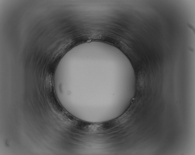 X0000100490172200807031925