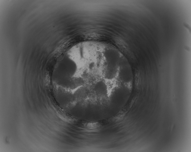 X0000100490173200807031925