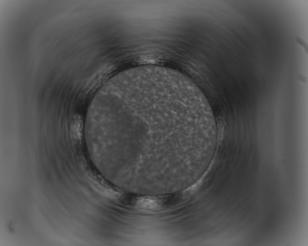 X0000100490174200807031925