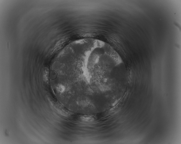 X0000100490175200807031925