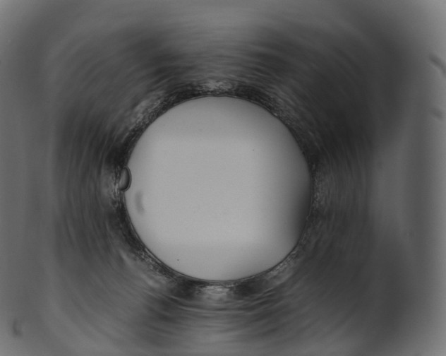 X0000100490176200807031925