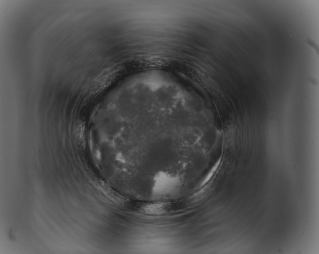 X0000100490178200807031925