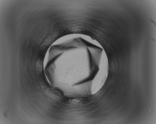 X0000100490180200807031925