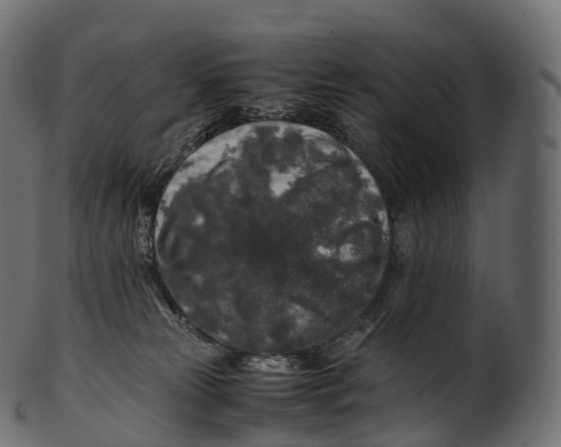 X0000100490181200807031925