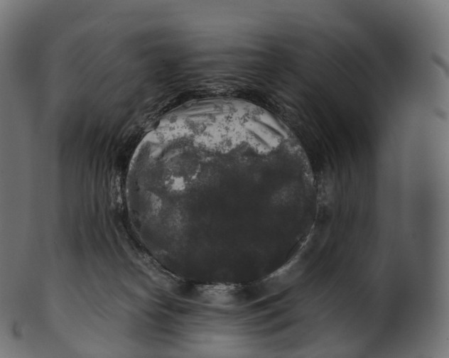 X0000100490182200807031925