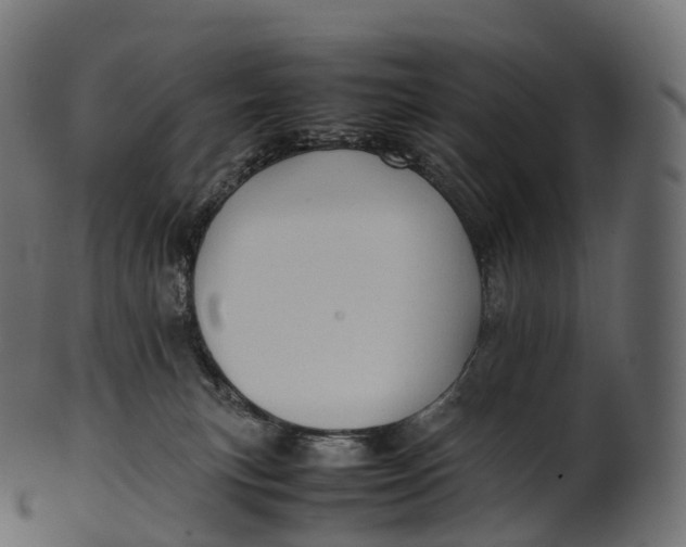 X0000100490183200807031925