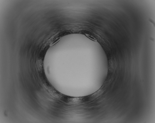 X0000100490184200807031925