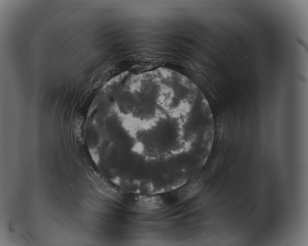 X0000100490185200807031925