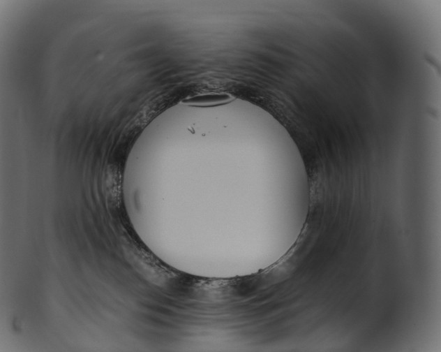 X0000100490186200807031925