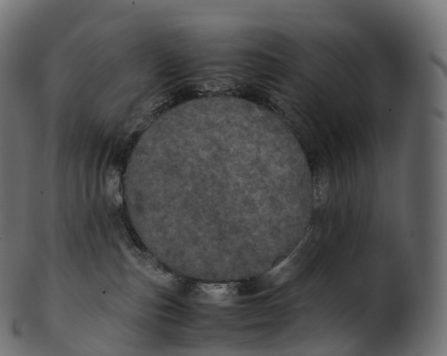 X0000100490187200807031925