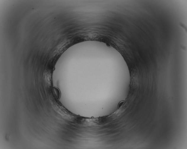 X0000100490188200807031925