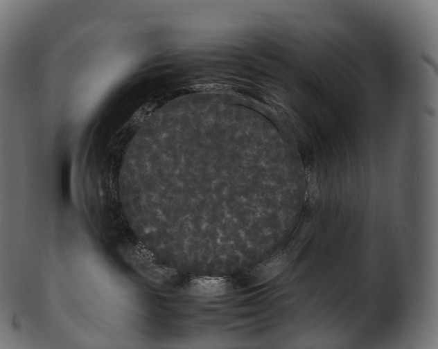 X0000100490189200807031925