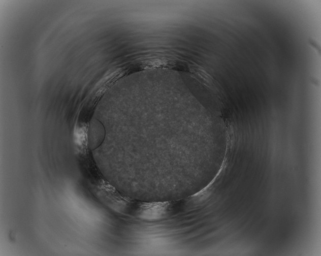 X0000100490191200807031925