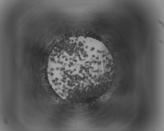 X0000100490192200807031925