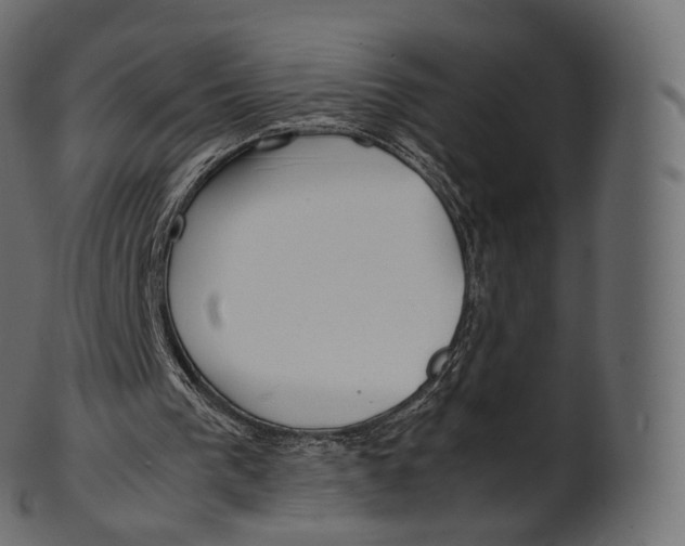 X0000100490193200807031924