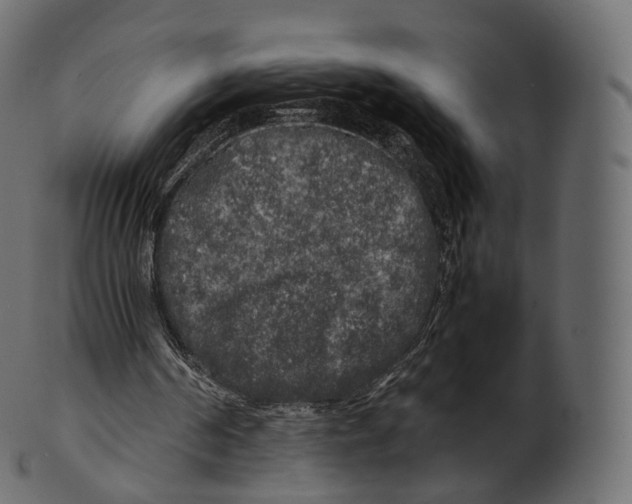 X0000100490194200807031924