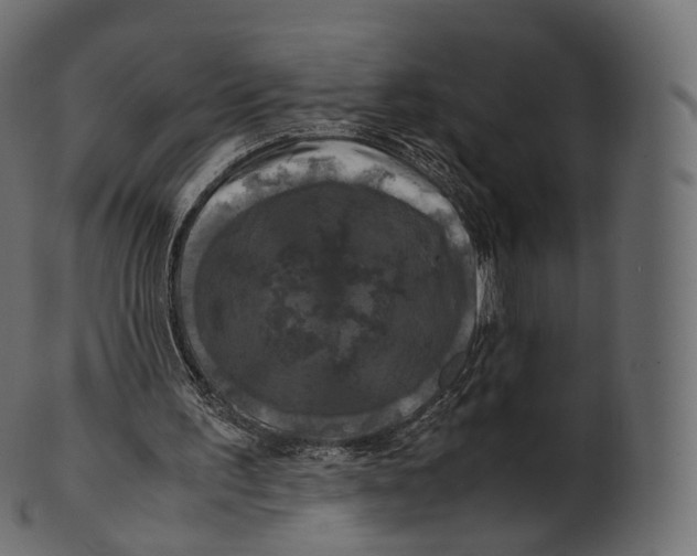 X0000100490195200807031924