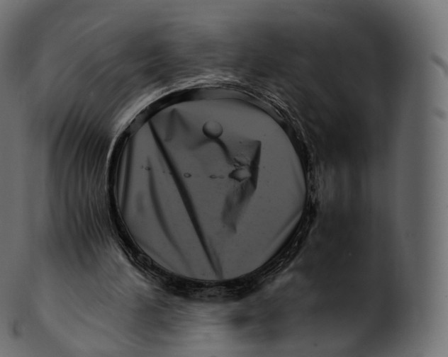 X0000100490196200807031924