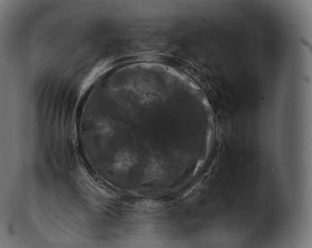 X0000100490198200807031924