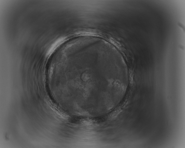 X0000100490199200807031924