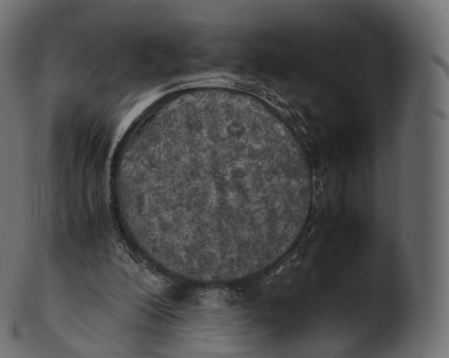 X0000100490200200807031924