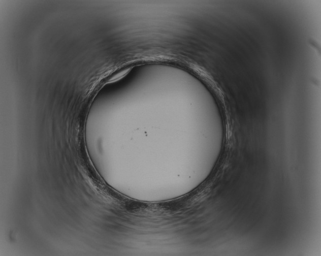 X0000100490201200807031924