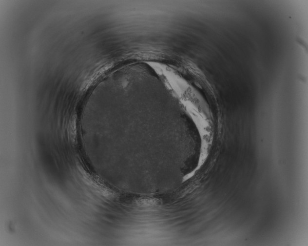 X0000100490202200807031924