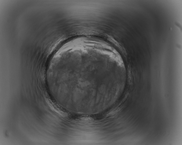 X0000100490203200807031924